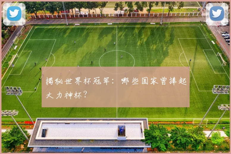 揭秘世界杯冠军:哪些国家曾捧起大力神杯?