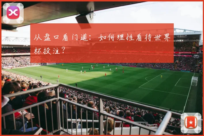 从盘口看门道：如何理性看待世界杯投注？