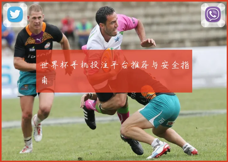 世界杯手机投注平台推荐与安全指南