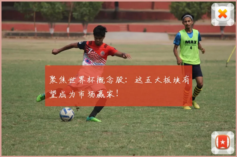 聚焦世界杯概念股：这五大板块有望成为市场赢家！