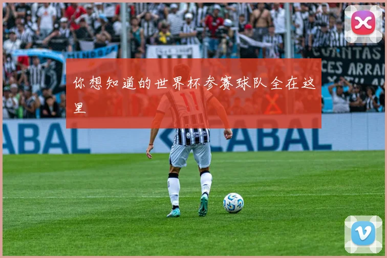 你想知道的世界杯参赛球队全在这里