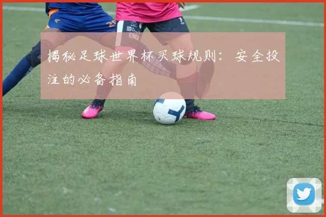 揭秘足球世界杯买球规则：安全投注的必备指南