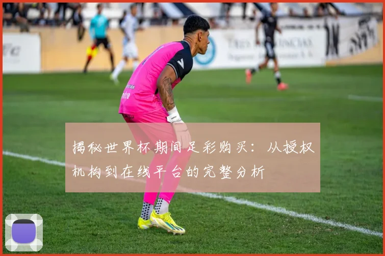 揭秘世界杯期间足彩购买：从授权机构到在线平台的完整分析