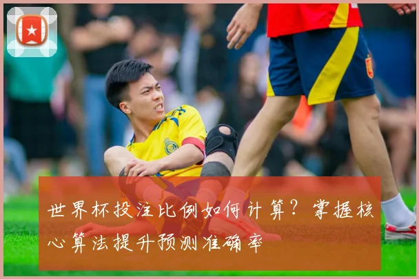 世界杯投注比例如何计算？掌握核心算法提升预测准确率