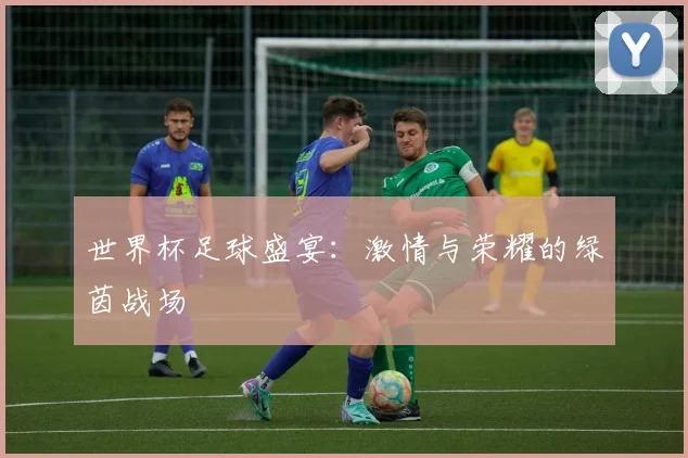 世界杯足球盛宴：激情与荣耀的绿茵战场